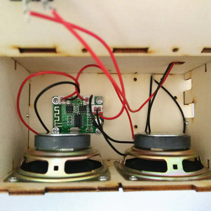 DIY Bluetooth Speaker with Sound System